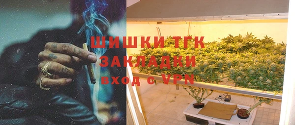 шишки Абинск