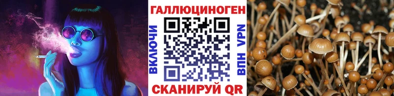 где можно купить наркотик Харабали Галлюциногенные грибы мухоморы
